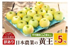【25年9月～発送】りんご 平均糖度12度以上！ 黄王 約5kg 訳あり クール便【先行受付】 青森 果物 フルーツ 林檎 リンゴ くだもの 不揃い 規格外 予約【レビューキャンペーン】