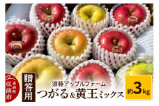 【25年9月発送】りんご 数量限定 つがる＆黄王ミックス【贈答用】約3kg【レビューキャンペーン】