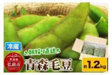 【25年9月～発送】【朝採り直送 令和7年度】青森毛豆 約1.2kg 青森・津軽の秋を味わう栗のような濃厚なうまみの枝豆【先行受付】 産地直送 おつまみ 新鮮 えだまめ 野菜 予約【レビューキャンペーン】