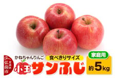 【25年12月～発送】【りんご】かねちゃんりんご 家庭用 小玉 サンふじ約5kg 食べきりサイズ【先行受付】 青森 果物 フルーツ 林檎 リンゴ くだもの 予約【レビューキャンペーン】