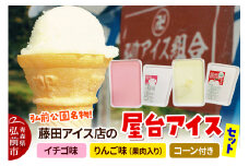 アイス 藤田アイス店 屋台アイスセット【イチゴ味×1個+りんご味×1個（りんご果肉入り）+コーン10個】【レビューキャンペーン】
