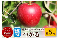 【25年9月発送】りんご【訳あり】家庭用 つがる 約5kg【レビューキャンペーン】