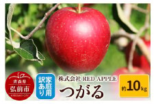 【25年9月発送】りんご【訳あり】家庭用 つがる 約10kg【レビューキャンペーン】