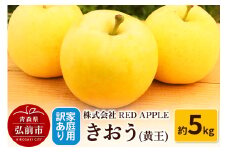 【25年9月発送】りんご【訳あり】家庭用 きおう（黄王） 約5kg【レビューキャンペーン】