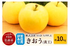 【25年9月発送】りんご【訳あり】家庭用 きおう（黄王）約10kg【レビューキャンペーン】