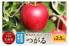 【25年9月発送】りんご【訳あり】家庭用 つがる 約2.5kg【レビューキャンペーン】