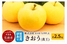【25年9月発送】りんご【訳あり】家庭用 きおう（黄王）約2.5kg【レビューキャンペーン】