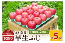 【25年10月～発送】りんご 平均糖度12度以上！ 早生ふじ 約5kg 訳あり【先行受付】 青森 果物 フルーツ 林檎 リンゴ くだもの 不揃い 規格外 予約【レビューキャンペーン】