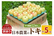 【25年10月～発送】りんご 平均糖度12度以上！ トキ 約5kg 訳あり【先行受付】 青森 果物 フルーツ 林檎 リンゴ くだもの 不揃い 規格外 予約【レビューキャンペーン】