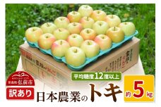 りんご 平均糖度12度以上！ トキ 約5kg 訳あり【先行受付】 青森 果物 フルーツ 林檎 リンゴ くだもの 不揃い 規格外 予約【レビューキャンペーン】