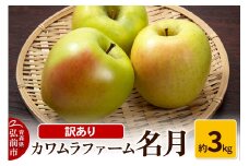 【25年11月～発送】りんご 名月 約3kg カワムラファーム 訳あり【先行受付】 青森 果物 フルーツ 林檎 リンゴ くだもの 不揃い 規格外 予約【レビューキャンペーン】