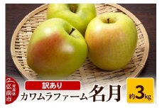 【25年11月～発送】りんご 名月 約3kg カワムラファーム 訳あり【先行受付】 青森 果物 フルーツ 林檎 リンゴ くだもの 不揃い 規格外 予約【レビューキャンペーン】