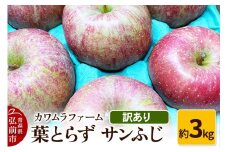 【25年11月～発送】りんご 葉とらず サンふじ 約3kg カワムラファーム 訳あり【先行受付】 青森 果物 フルーツ 林檎 リンゴ くだもの 不揃い 規格外 予約【レビューキャンペーン】