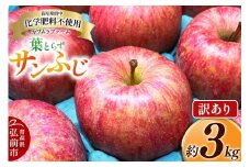 【25年11月～発送】りんご 葉とらず サンふじ 約3kg カワムラファーム 訳あり【先行受付】 青森 果物 フルーツ 林檎 リンゴ くだもの 不揃い 規格外 予約