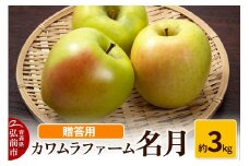 【25年11月～発送】りんご 名月 約3kg カワムラファーム 贈答用【先行受付】 青森 果物 フルーツ 林檎 リンゴ くだもの 予約【レビューキャンペーン】