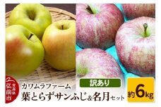 【25年11月～発送】りんご 葉とらず サンふじ＆名月 セット 約6kg カワムラファーム 訳あり【先行受付】 青森 果物 フルーツ 林檎 リンゴ くだもの 不揃い 規格外 予約【レビューキャンペーン】