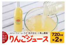 りんごジュース 720ml × 2本 みらいファーム・ラボ 株式会社 小栗山農園【レビューキャンペーン】
