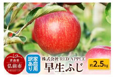 【25年10月発送】りんご【訳あり】家庭用 早生ふじ 約2.5kg【レビューキャンペーン】