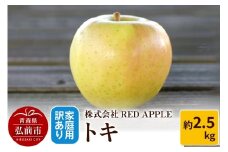 【25年10月～発送】りんご【訳あり】家庭用 トキ 約2.5kg【レビューキャンペーン】