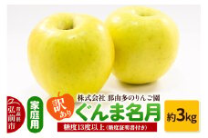 【25年11月～発送】りんご【訳あり】家庭用 ぐんま名月 約3kg 糖度13度以上（糖度証明書付）【先行受付】 青森 果物 フルーツ 林檎 リンゴ くだもの 不揃い 規格外 予約【レビューキャンペーン】