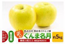 【25年11月～発送】りんご【訳あり】家庭用 ぐんま名月 約5kg 糖度13度以上（糖度証明書付）【先行受付】 青森 果物 フルーツ 林檎 リンゴ くだもの 不揃い 規格外 予約【レビューキャンペーン】