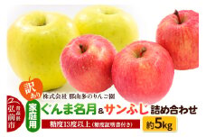 【25年11月～発送】りんご【訳あり】家庭用 ぐんま名月＆サンふじ 詰め合わせ 約5kg 糖度13度以上（糖度証明書付）【先行受付】 青森 果物 フルーツ 林檎 リンゴ くだもの 不揃い 規格外 予約【レビューキャンペーン】