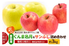【25年11月～発送】りんご【訳あり】家庭用 ぐんま名月＆サンふじ 詰め合わせ 約3kg 糖度13度以上（糖度証明書付）【先行受付】 青森 果物 フルーツ 林檎 リンゴ くだもの 不揃い 規格外 予約【レビューキャンペーン】