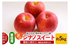 【25年11月～発送】りんご【訳あり】家庭用 シナノスイート 約5kg 糖度13度以上（糖度証明書付）【先行受付】 青森 果物 フルーツ 林檎 リンゴ くだもの 不揃い 規格外 予約【レビューキャンペーン】