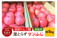 【12月～発送】りんご【先行受付】家庭用 葉とらず サンふじ 約 5kg (16～20玉程度) 前田りんご園 青森 果物 フルーツ 林檎 リンゴ くだもの 予約【レビューキャンペーン】