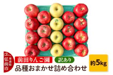 【10月～発送】りんご【先行受付】訳あり りんご 品種おまかせ詰め合わせ 約 5kg（16～20玉程度）前田りんご園 青森 果物 フルーツ 林檎 リンゴ くだもの 不揃い 規格外 予約【レビューキャンペーン】