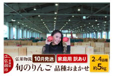 【25年10月発送】りんご 家庭用 訳あり 旬のりんご 品種おまかせ 約5kg 2品種～4品種【レビューキャンペーン】