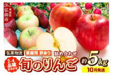 【25年10月発送】りんご 家庭用 訳あり 旬のりんご 品種おまかせ 約5kg 2品種～4品種【レビューキャンペーン】