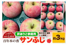 【25年12月～発送】りんご 【訳あり】家庭用 百年木の香 三上農園 サンふじ 約3kg【先行受付】 青森 果物 フルーツ 林檎 リンゴ くだもの 不揃い 規格外 予約【レビューキャンペーン】
