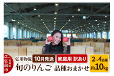 【25年10月発送】りんご 家庭用 訳あり 旬のりんご 品種おまかせ 約10kg 2品種～4品種【レビューキャンペーン】