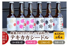 廃棄されてきたりんごを活用した テキカカシードル（シードル×2 、ライチ×2、こうとく×1、ラガー×1） 各330ml 計6本 お酒 青森 弘前 林檎 リンゴ【レビューキャンペーン】
