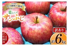 【25年11月～発送】りんご 葉とらず サンふじ 約6kg カワムラファーム 訳あり【先行受付】 青森 果物 フルーツ 林檎 リンゴ くだもの 不揃い 規格外 予約