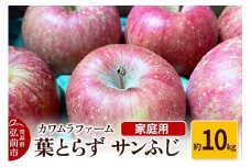 【25年11月～発送】りんご 葉とらず サンふじ 約10kg カワムラファーム 家庭用【先行受付】 青森 果物 フルーツ 林檎 リンゴ くだもの 予約【レビューキャンペーン】