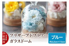 プリザーブドフラワー ガラスドーム【ブルー】約11.5cm×約7.5cm 1個【レビューキャンペーン】