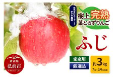 【25年11月～発送】りんご ふじ 約3kg（7玉～14玉程度）樹上完熟葉とらず【家庭用】厳選品 青森県産 りんご【レビューキャンペーン】