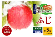 【25年11月～発送】りんご ふじ 約5kg（12玉～24玉程度）樹上完熟葉とらず【家庭用】厳選品 青森県産 りんご【レビューキャンペーン】