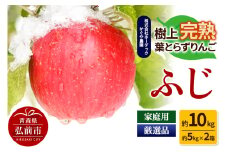 【25年11月～発送】りんご ふじ 約10kg（約5kg×2箱） 樹上完熟葉とらず【家庭用】厳選品 青森県産 りんご【レビューキャンペーン】