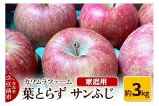 【25年11月～発送】りんご 葉とらず サンふじ 約3kg カワムラファーム 家庭用【先行受付】 青森 果物 フルーツ 林檎 リンゴ くだもの 予約【レビューキャンペーン】