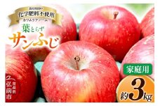 【25年11月～発送】りんご 葉とらず サンふじ 約3kg カワムラファーム 家庭用【先行受付】 青森 果物 フルーツ 林檎 リンゴ くだもの 予約