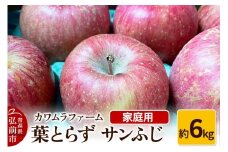 【25年11月～発送】りんご 葉とらず サンふじ 約6kg カワムラファーム 家庭用【先行受付】 青森 果物 フルーツ 林檎 リンゴ くだもの 予約【レビューキャンペーン】