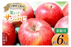 【25年11月～発送】りんご 葉とらず サンふじ 約6kg カワムラファーム 家庭用【先行受付】 青森 果物 フルーツ 林檎 リンゴ くだもの 予約