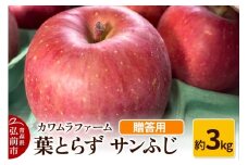 【25年11月～発送】りんご 葉とらず サンふじ 約3kg カワムラファーム 贈答用【先行受付】 青森 果物 フルーツ 林檎 リンゴ くだもの 予約【レビューキャンペーン】