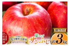 【25年11月～発送】りんご 葉とらず サンふじ 約3kg カワムラファーム 贈答用【先行受付】 青森 果物 フルーツ 林檎 リンゴ くだもの 予約