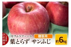 【25年11月～発送】りんご 葉とらず サンふじ 約6kg カワムラファーム 贈答用【先行受付】 青森 果物 フルーツ 林檎 リンゴ くだもの 予約【レビューキャンペーン】