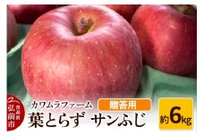 【25年11月～発送】りんご 葉とらず サンふじ 約6kg カワムラファーム 贈答用【先行受付】 青森 果物 フルーツ 林檎 リンゴ くだもの 予約【レビューキャンペーン】