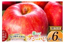 【25年11月～発送】りんご 葉とらず サンふじ 約6kg カワムラファーム 贈答用【先行受付】 青森 果物 フルーツ 林檎 リンゴ くだもの 予約